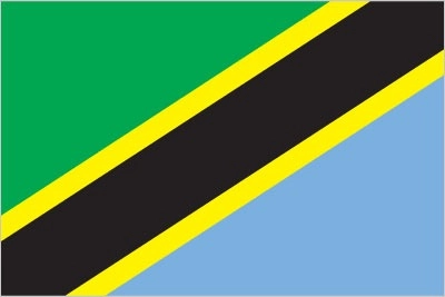 Tanzania flag. A yellow-edged black band goes from the lower left corner (hoist side) to the upper right corner. Above the band, the upper left part of the flag is green. Below the band, the lower right of the flag is sky blue.